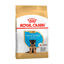 Picture of Royal Canin GERMAN SHEPHERD PUPPY  1 կգ