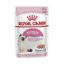 Picture of Royal Canin Kitten Loaf 12 հատ 85գ