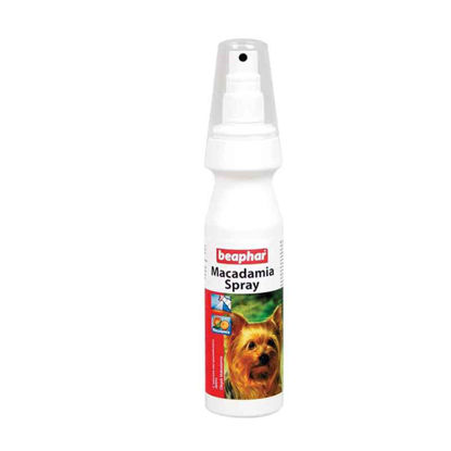 Picture of Macadamia Spray - Երկարամազ շների մազերի խնամքի համար