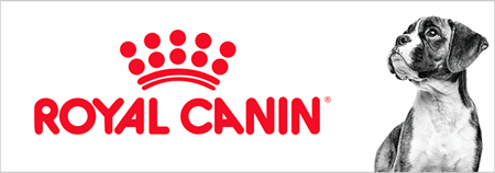 Picture for category Royal Canin