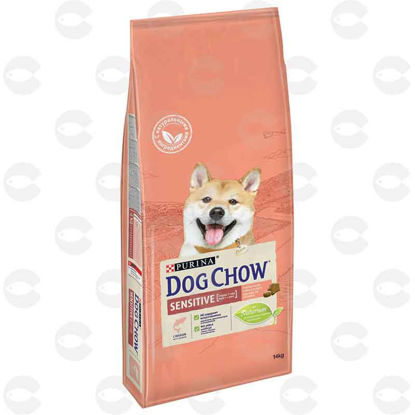 Picture of Շան կեր Dog Chow Sensitive ձկան մսով