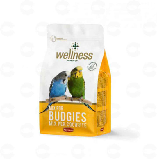 Picture of WELLNESS BUDGIES Կեր ալիքավոր թութակների համար 1կգ