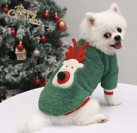 Picture of Սվիտեր շների համար ձմեռային