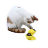 Picture of Կատուների ինտերակտիվ  խաղալիք