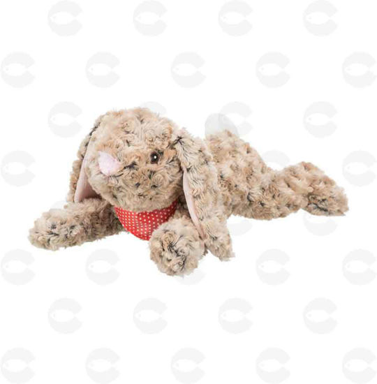 Picture of Խաղալիք փափուկ` ճագար