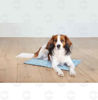 Picture of Սառեցնող ներքնակ շների համար, պղպջակներով