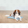 Picture of "Paw" bag for pets