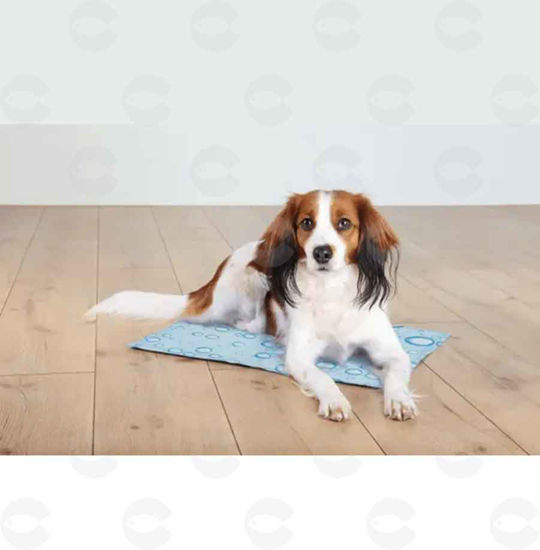 Picture of "Paw" bag for pets