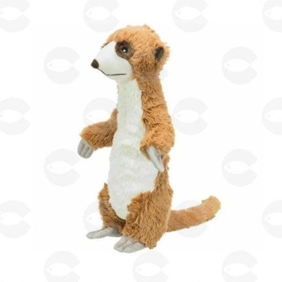 Picture of Փափուկ խաղալիք շների համար՝ մանգուստ