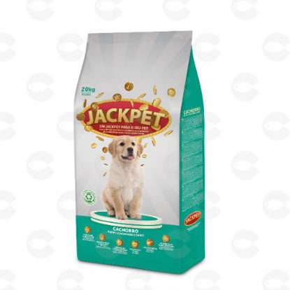Picture of Jackpet Puppy ձագերի համար