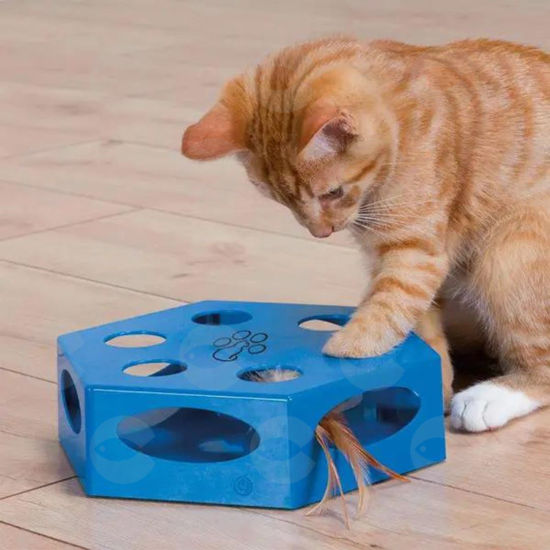 Picture of Պլաստիկե խաղալիք կատուների համար՝ 6-անկյուն, փետուրով