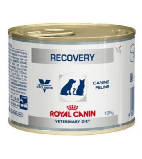 Picture of RECOVERY FEL/CAN CAN 195 G
