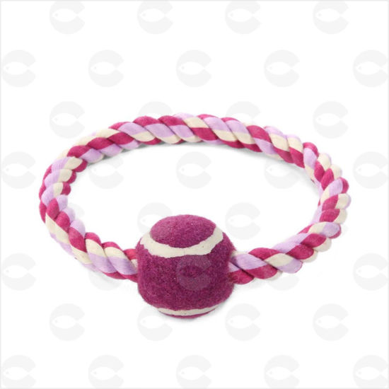 Picture of Triol MINI DOGS  Պարանից խաղալիք շների համար