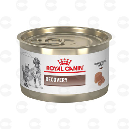 Picture of RECOVERY FEL/CAN CAN 195 G