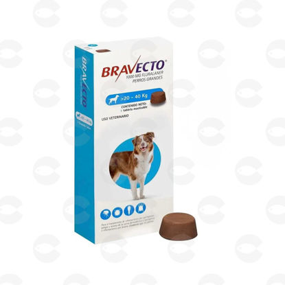 Picture of Հաբեր Bravecto 20-40կգ շների համար