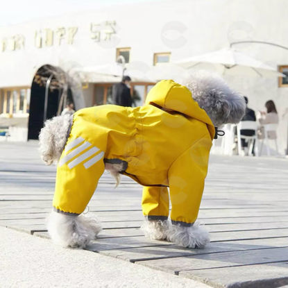 Picture of Անձրևային հագուստ ZR-YY01 (M)