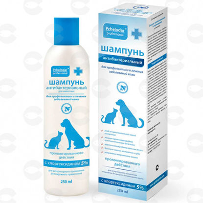 Picture of Շամպուն հակասնկային պրոպոլիսով և կետոկոնազոլով 250 մլ