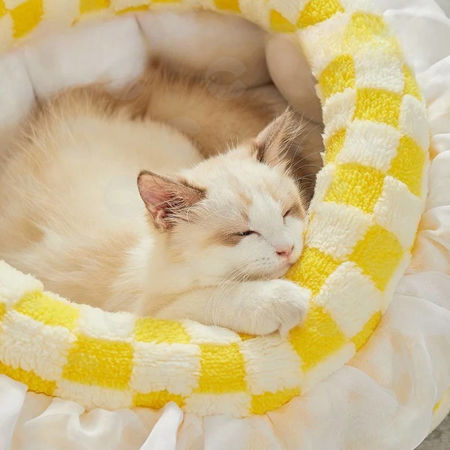 Picture for category Մահճակալ