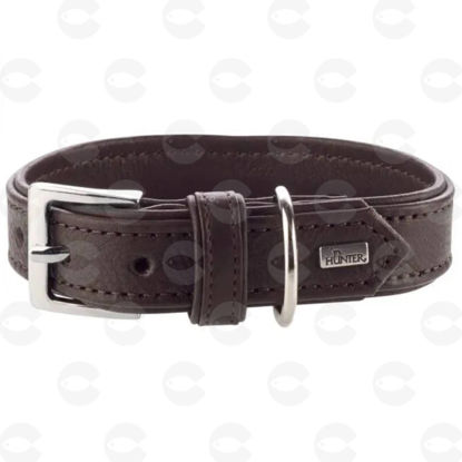 Picture of Կաշվե վզկապ շների համար  Չ765