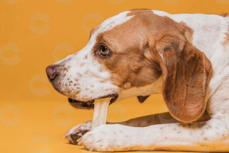 Picture for category Ատամների համար