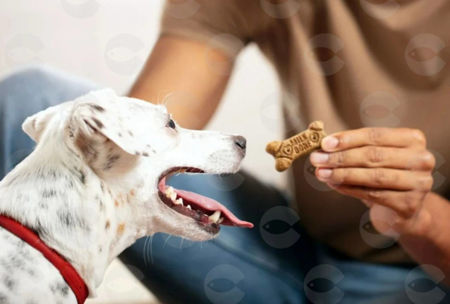 Picture for category Ալերգիկների համար