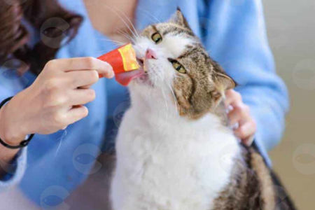 Picture for category Սնեյք