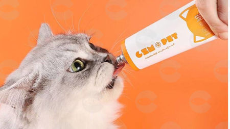 Picture for category Մածուկներ