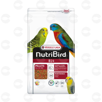 Picture of Վիտամինացված, մրգային կեր ալիքավոր թութակների/փոքր թռչունների համար՝ B18, 3 կգ