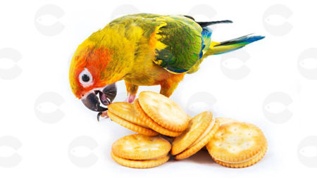 Picture for category Անուշեղեններ, Կրեկեռներ