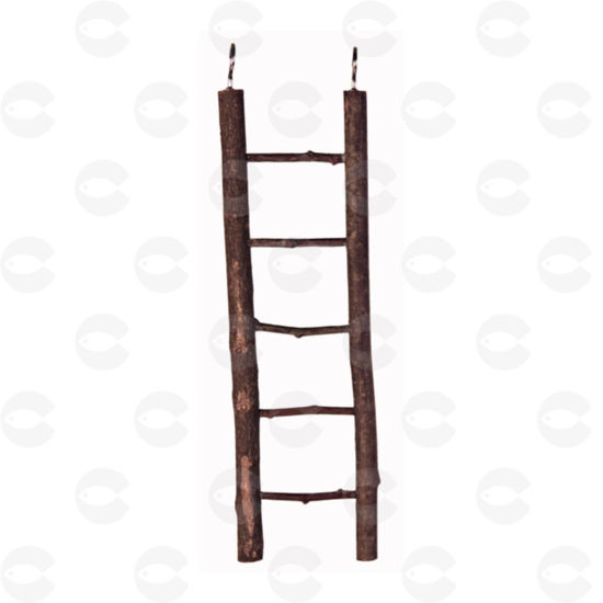 Picture of «Natural Living» փայտե աստիճան