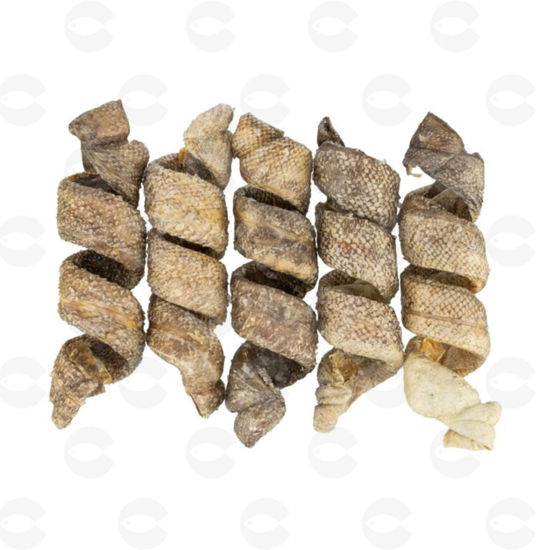 Picture of Ձողիկներ շների, զսպանակաձև, սպիտակ ձկան մսով,12 սմ/25 գ Denta Fun/68416