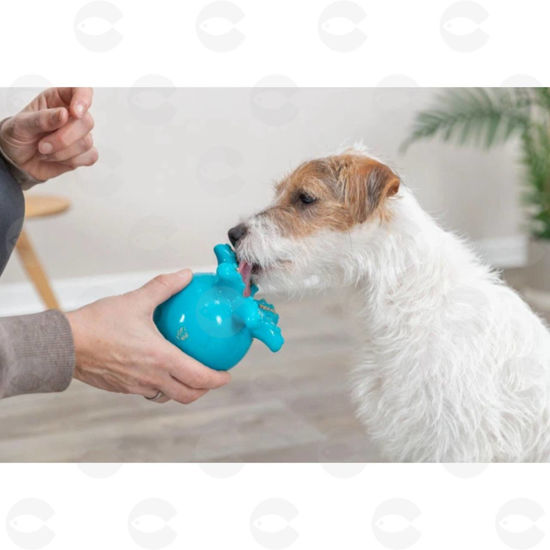 Picture of Շների ինտերակտիվ ութոտնուկ խաղալիք՝ հյուրասիրության համար (ջերմապլաստիկ ռետին, 11 սմ)