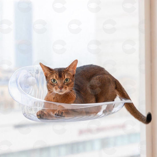 Picture of Triol «Անհոգություն» պատուհանի համար գամակ կատուների համար, 480 × 310 × 190 մմ