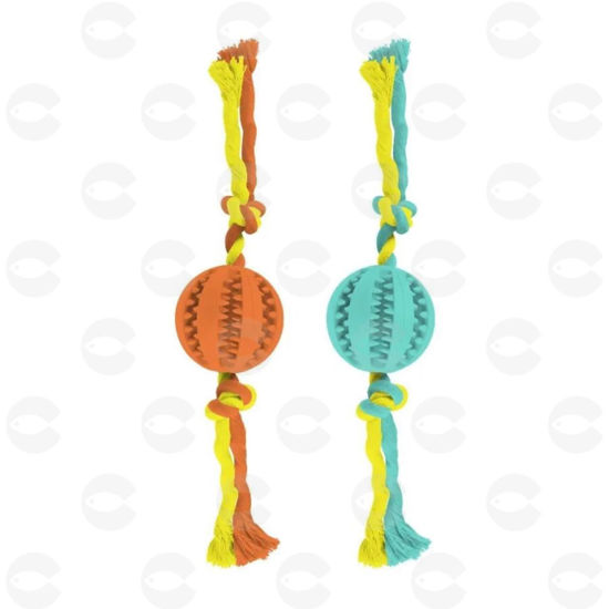 Picture of Կենդանիների խաղալիք VET-0445