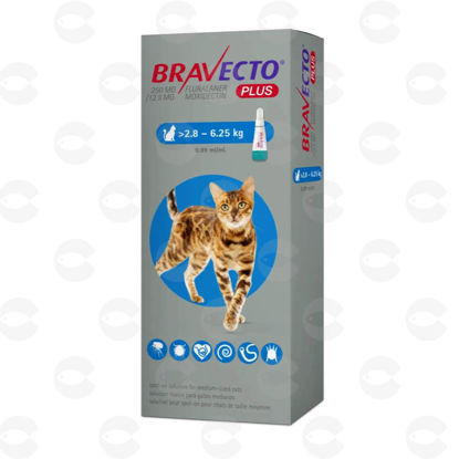 Picture of Bravecto PLUS Cat 2.8–6.25 կգ