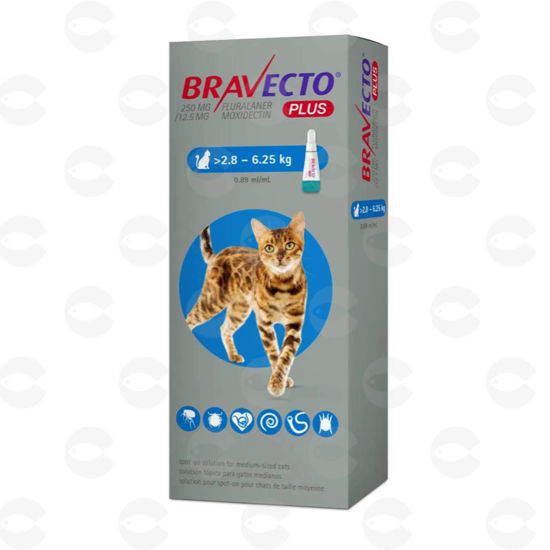 Picture of Bravecto PLUS Cat 2.8–6.25 կգ
